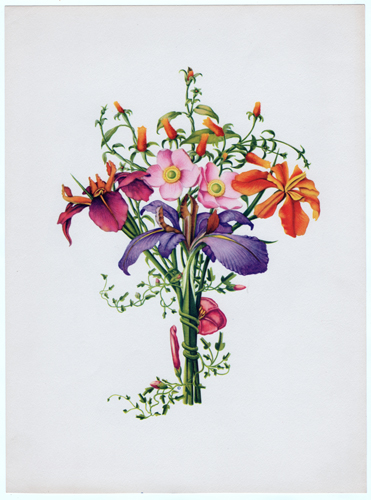 original vintage floral print from circa 1940s-1950s